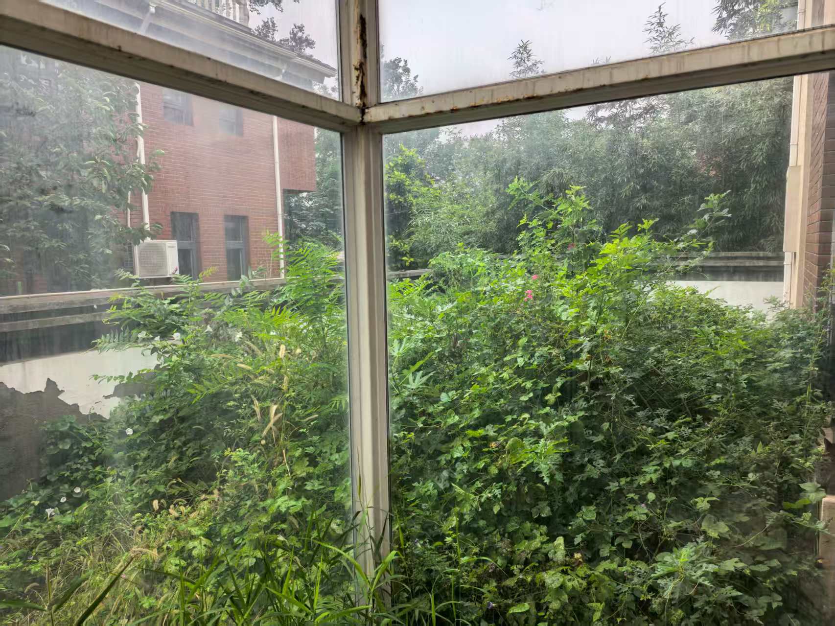 278平1380万 独栋毛坯房 大花园 位置好 大面宽 小进深 户型好